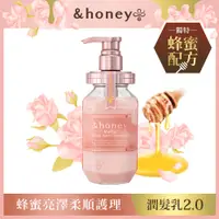 在飛比找PChome24h購物優惠-honey 蜂蜜亮澤柔順護理潤髮乳2.0 (445g)