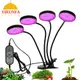 夾子全光譜LED室內多肉花卉綠植育苗生長燈USB定時調光植物補光燈