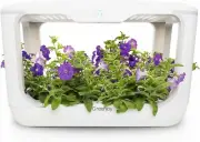 Greenjoy Indoor Herb Garden Kit, Hydroponic Grow System, 8L for Vegetables/Herbs