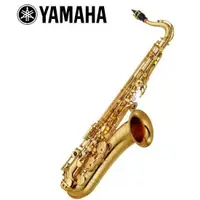 在飛比找蝦皮購物優惠-YAMAHA YTS-480 次中音薩克斯風 TENOR S