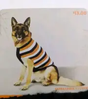 Target Hyde and Eek Dog Striped Halloween Knit Sweater Size XL Candy Corn Patten