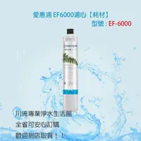 在飛比找蝦皮購物優惠-★川流淨水★EVERPURE 愛惠浦 EF-6000 / E