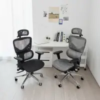 在飛比找momo購物網優惠-【完美主義】Mars全網高背人體工學椅(電腦椅/辦公椅)