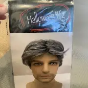 Halloween Wig Costume Accessory Adult Men's Wig Pepper Gray Hair Short