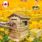 Auto Beekeeping Beehive House + 7 Upgraded Auto Bee Boxes Honey Comb Hive Frames