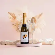 Altina Sparkling Brut (6 bottles)