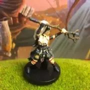 Feiya Human Witch Iconic Heroes D&D Miniature Dungeons Dragons druid wizard 2