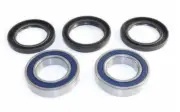 EPI Performance Wheel Bearing Kit | WE301027
