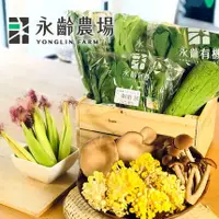 在飛比找吉品養生優惠-【永齡農場】有機蔬菜箱