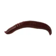 Berkley Gulp! Pinched Crawler Fishing Bait, Nightcrawler, 2in, Garlic Scent,