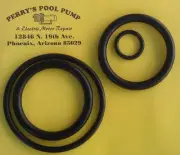 Pentair Pac Fab Backwash Slide Valve 261047 261165 263064 PVC O-Ring 2" Rebuild
