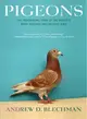 Pigeons ─ The Fascinating Saga of the World's Most Revered and Reviled Bird