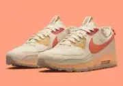 NIKE AIR MAX TERRASCAPE 90 PEARL WHITE DH2973-200 (SEND EXPRESS)