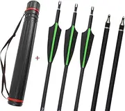 12 Pack Archery 31 Inch Hunting Carbon Arrow Spine 500 Targeting Practice Arrows with Removable Tips Arrowhead Arrow Quiver Tube for Hunting Recurve Compound Bow