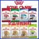 ROYAL CANIN 法國皇家 | 全品項狗飼料 | 狗糧 |幼母犬|成犬|貴賓|柴犬|室內犬|熟齡犬|幼犬|翔帥(420元)