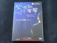 在飛比找Yahoo!奇摩拍賣優惠-[DVD] - 心中的小星星 Stars on Earth 