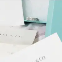 在飛比找蝦皮購物優惠-TIFFANY ATLAS羅馬數字窄版戒指