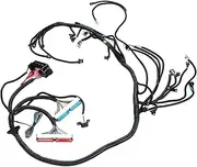 SPYMINNPOO 4L80E DBC, Fuel Injection Wiring Harness Complete Stand Alone Wire Harness for LS Engine 4.8 5.3 6.0