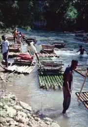 Rafting on Jamaica's Martha Brae River - 35mm Slides