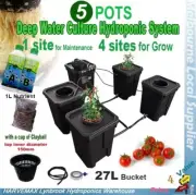 Hydroponic 5 Pot 27L DWC Complete System Nutrifield Element Grow A&B Nutrient