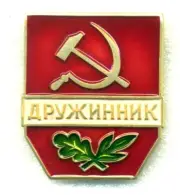 Badge USSR "ДРУЖИННИК" Original Voluntary Leningrad Mintr LMD Russia