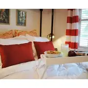 Artistic Dreams Fresh Renovation