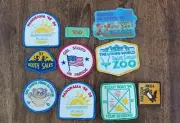 Vintage Girl Scout Patch Lot Badges GSA Patches 1990s Iron-on Or Sew