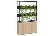 DD Cafe Vertical Garden Divider Wall