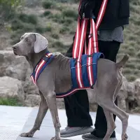 在飛比找蝦皮購物優惠-少量現貨❤️一體式老狗輔助帶🐶前後腳行走輔助 助行器 犬輔助