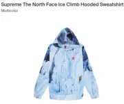 Supreme x The North Face Ice Climb Hoodie Size SMALL **READY TO SHIP**