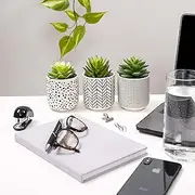 Set of 3 Artificial Succulents in pots | Black and White Ceramic pots with Faux Succulents | Plant Decor | Succulents Artificial for Home Decor Indoor 12 cm high
