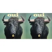 Urge Overkill - Oui (Green LP Vinyl) & Oui