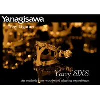 在飛比找蝦皮購物優惠-§唐川音樂§【Yanagisawa 柳澤 Yany SIXS