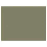 Polarizer/Diffusor Film for Apple iPad Mini 4 Polarized Polarizing Sheet