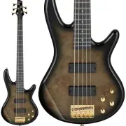 Ibanez Gsr205Pc-Tpb Spot Model