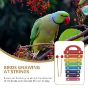 Bird Xylophone Cartoon Dolls Parrot Gnaws Strings Durable Toys Chewing Baby