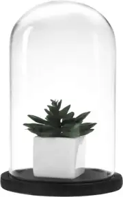 Decorative Clear Glass Cloche Jar Flower Display Case w/ Black Rustic Wood Base