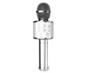 Karaoke Silver Wireless Microphone & Speaker