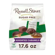 Russel Stover - Sugar Free - Assorted Caramels Dark Chocolate Candy 17.6 oz Bag