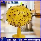 Fruit Fly Trap Killers Drosophila Traps Reusable Insect Fly Trap for Home Farm A