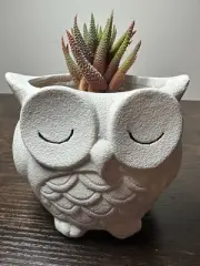 White Owl Plastic Succulent Pot Woodland Forest Minimalist Gift *NEW
