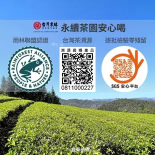 【台灣農林】台茶風華 碧螺春綠茶2盒組(天然製材茶包2.5gx20入/盒)
