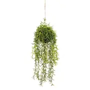 60cm Moss Ball w Senecio Hanging Artificial Plant Flower (with Rope) Fake