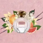 Tocca - CLEOPATRA EDP 100mL Spray Bottle Women's Fragrance / Perfume NEW BOXED