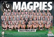 Collingwood magpies team POSTER,AFL FOOTBALL,Premiers, swans,pies,books 1,blues