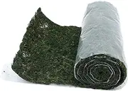 1 Roll Micro Landscape Artificial Moss Mat Durable Water Resistant Fake Grass for Decor for Miniature Gardens and Scenic Layouts