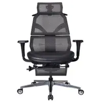 在飛比找特力屋線上購物優惠-[特價]艾索人體工學椅 電腦椅 ESCL-A77 灰色 頭層