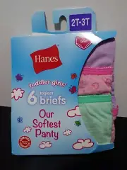 Hanes Toddler Girls Briefs 6 Pack ~ Size 2T-3T ~ Our Softest Panty ~ Free S/H
