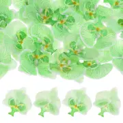20Pcs Silk Faux Artificial Orchid Flower Heads Petals Decor 2.76", Green