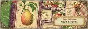 GRAPHIC 45 "FRUIT & FLORA" 12X12 PAPER 8 SHEETS -SET RETIRED SCRAPJACK'S PLACE